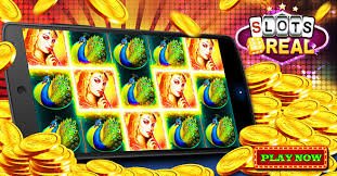 7788bet vip